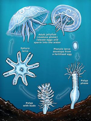  Zamanihydra! A Colony-Forming Predator That Will Change Your Perception of Jellyfish