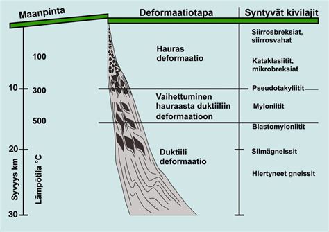  Zeaspira! Opistinen ja epätavallinen sieniporoinen meren syvyydessä